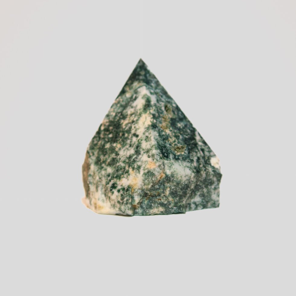 tree agate half polished point