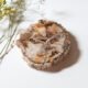 Petrified Wood Slice A