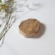 Petrified Wood Slice B