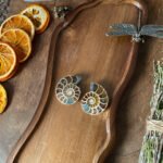 Ammonite Pair A