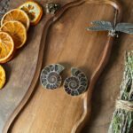 Ammonite Pair B