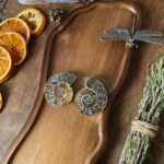 Ammonite Pair E