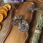 Ammonite Pair F