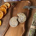 Ammonite Pair G