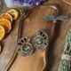 Ammonite Pair H