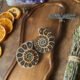 Ammonite Pair I